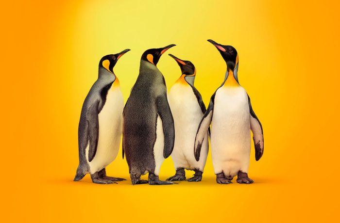 CVE-2024-3094: вредоносный код в Linux-дистрибутивах