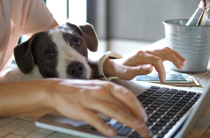homeoffice